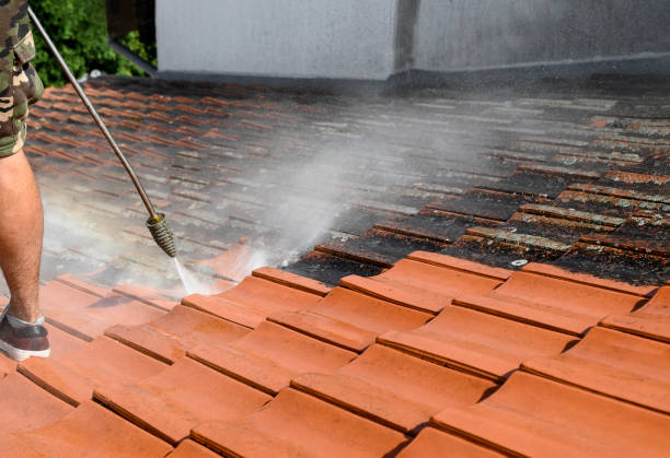 Best Deck Cleaning Services  in Harbour Heights, FL